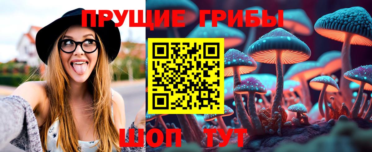 Галлюциногенные грибы мицелий  Вход с VPN  Галлюциногенные грибы Cubensis  Кохма 