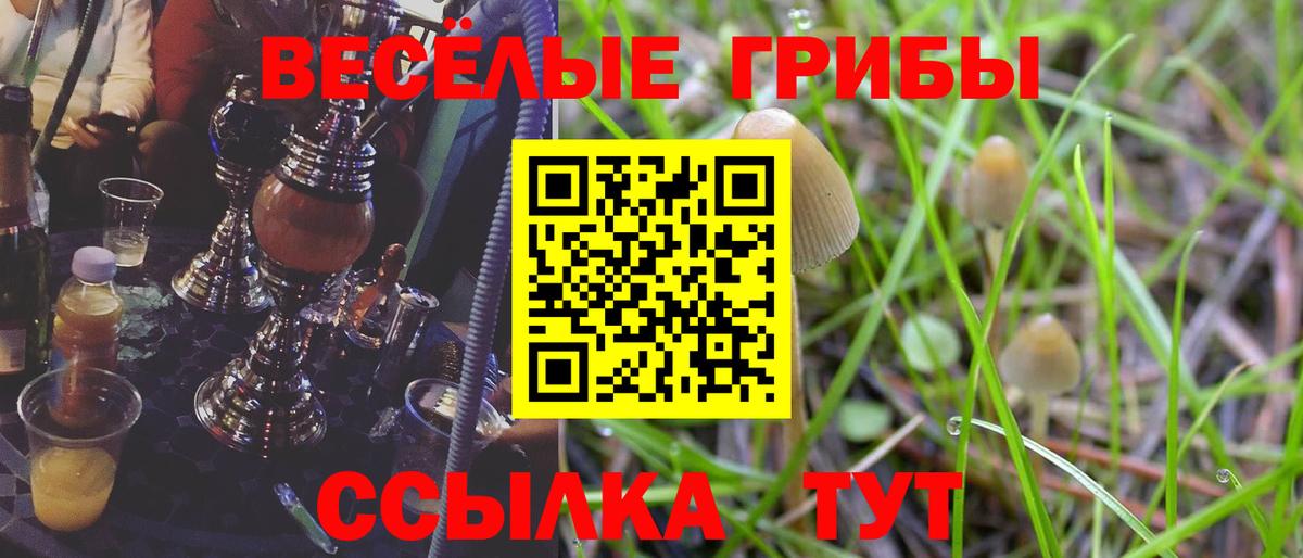 Псилоцибиновые грибы GOLDEN TEACHER Кохма